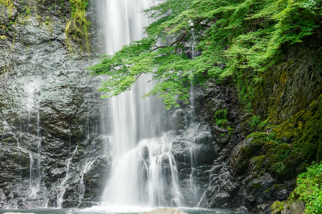 この文章はダミーです。文字の大きさ、量、字間、行間等を確認するために入れ